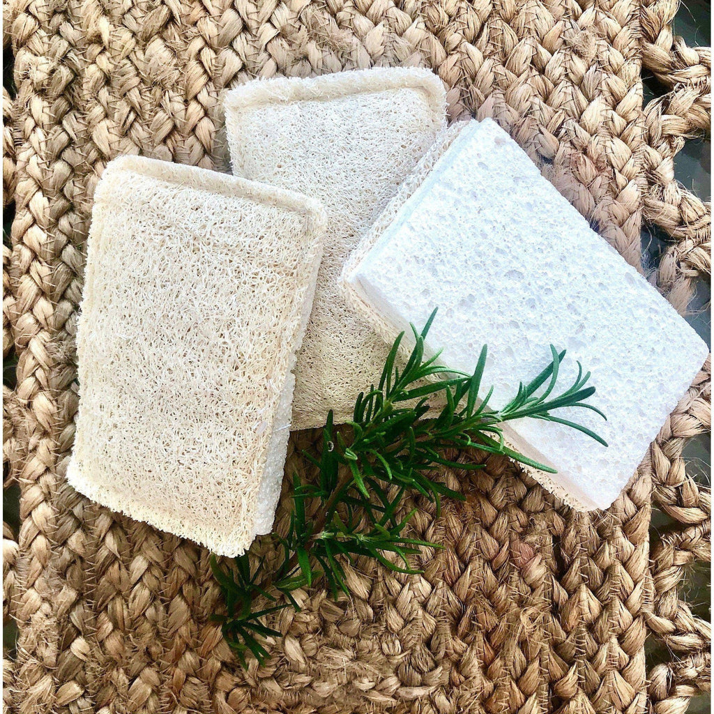 Plastic free natural Loofah Cellulose Sponges (Pack of 3)