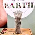 Sisal Straw Cleaner, plastic free
