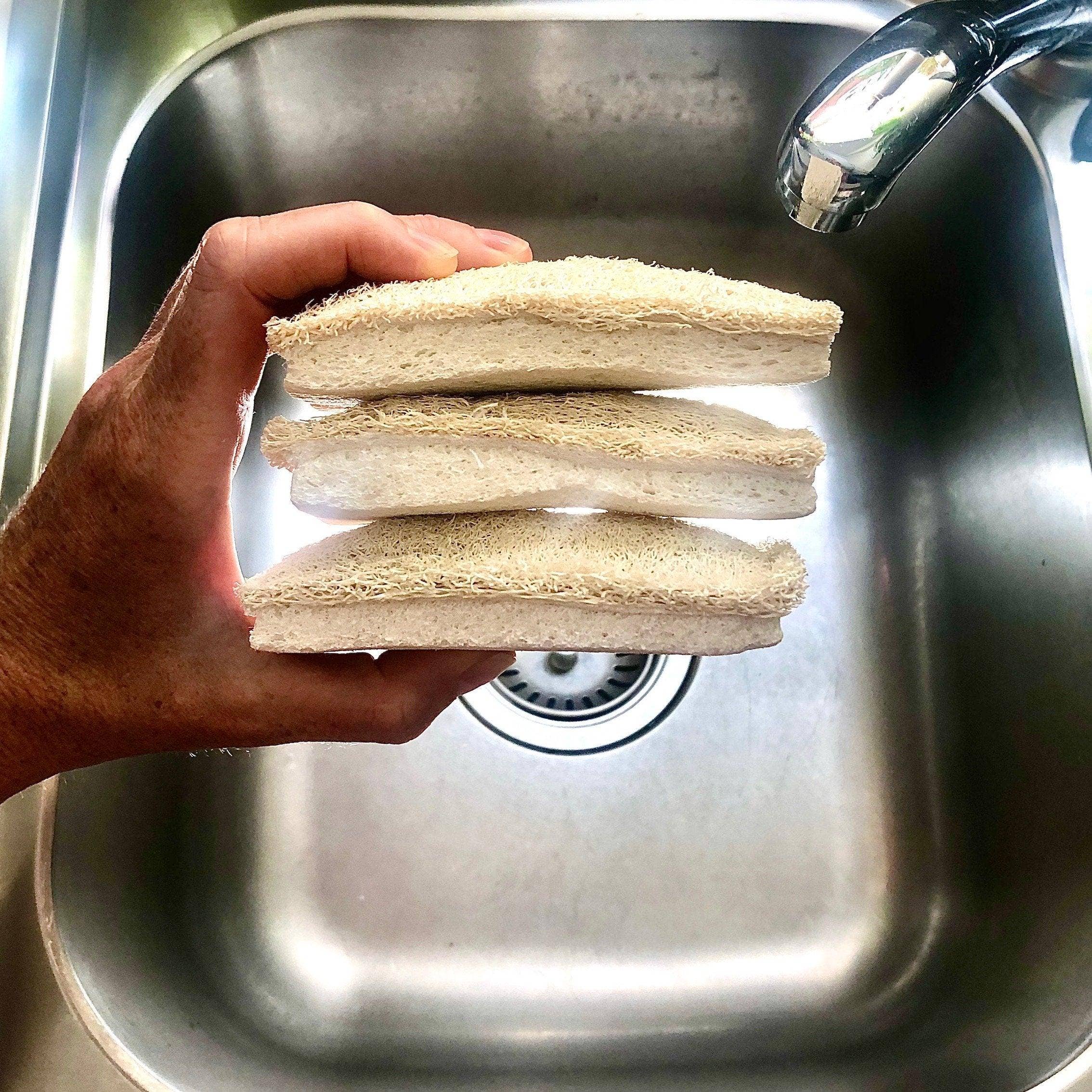 Plastic free natural Loofah Cellulose Sponges (Pack of 3)